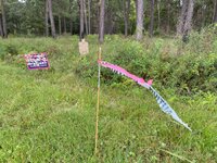 IMG_5577.jpeg