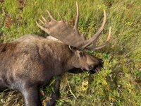 IMG_3145.JPG