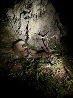 IMG_2432.jpeg