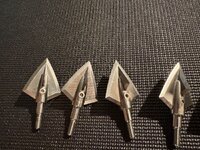 IMG_1181.jpeg
