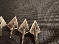 IMG_1182.jpeg