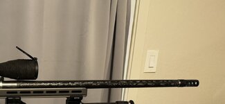 IMG_6884.jpeg