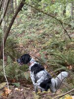 IMG_6211.jpeg