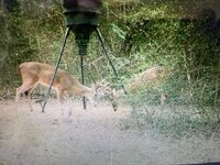 IMG_7489.jpeg