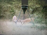 IMG_7486.jpeg
