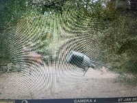 IMG_7490.jpeg