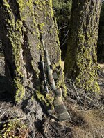 IMG_8539.jpeg
