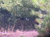 IMG_8829.jpeg