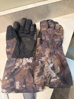 IMG_4761.jpeg