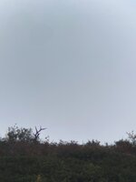 IMG_6191.jpeg