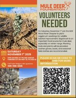 MDF SAGEBRUSH SEEDLING PLANTING NOV 1 2025 .jpg