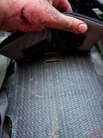 IMG_5291.jpeg