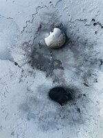 IMG_4220.jpeg