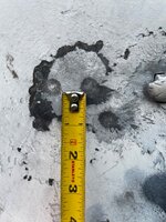 IMG_4239.jpeg