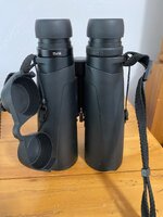 IMG_3789.jpeg