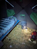 PXL_20250111_041930078.jpg
