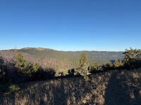 IMG_7243.jpeg