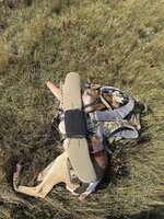 IMG_3770.jpeg