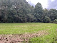 IMG_4178.jpeg