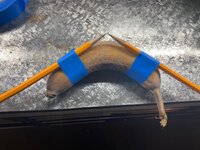 IMG_1152.jpeg