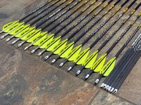 Arrows3.jpeg