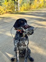 IMG_1401.jpeg