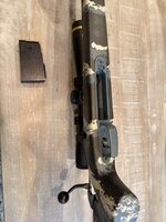 IMG_7041.jpeg