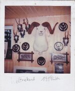 IMG_1417.jpeg