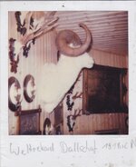 IMG_1418.jpeg
