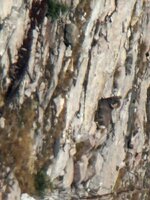IMG_4714.jpeg