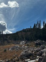 IMG_4786.jpeg