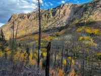 IMG_4794.jpeg