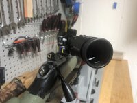 IMG_2628.jpeg