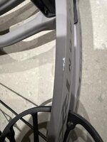 IMG_7195.jpeg