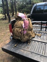 IMG_0609.jpeg