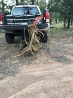 IMG_0614.jpeg