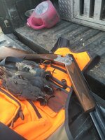 IMG_0230.jpeg