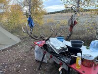 IMG_1868.jpeg