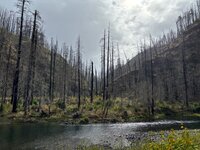 IMG_3885.jpeg