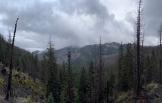IMG_3899.jpeg