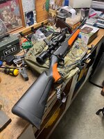 IMG_0875.jpeg