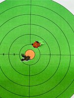 IMG_4445.jpeg