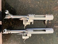 IMG_5195.jpeg