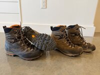 IMG_2345.jpeg