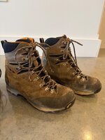 IMG_2347.jpeg