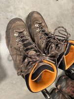 IMG_2350.jpeg
