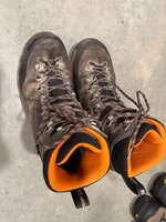 IMG_2349.jpeg