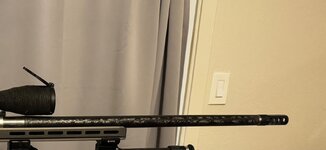 IMG_6884.jpeg
