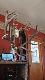 20251003_172722.jpg