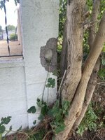 IMG_0620 Medium.jpeg